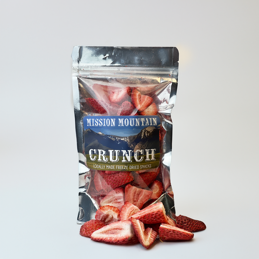 Small Batch Freeze Dried Strawberries 1oz Bag